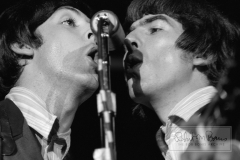 Paul McCartney and George Harrison On Stage, Mid-South Coliseum, Memphis, TN, August 19, 1966 #1
